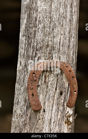 Fer à cheval rouillé sur vieux poteau en bois Banque D'Images