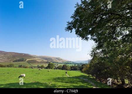 Runner sur le Pennine Way près de son démarrage en Edale à vers le village, parc national de Peak District, Derbyshire, Angleterre Banque D'Images