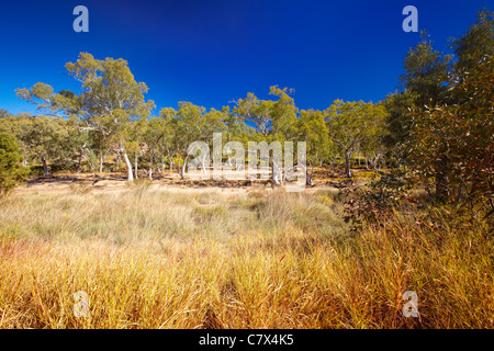 West MacDonnell National Park, Territoire du Nord, Australie Banque D'Images