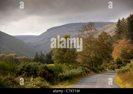 L'Irlande, Co Wicklow, Glenmalure, route dans la vallée Banque D'Images