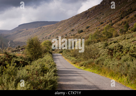 L'Irlande, Co Wicklow, Glenmalure, route dans la vallée Banque D'Images