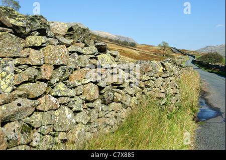 Mur en pierre sèche que les bords de la route à travers la puce de Ornans dans le Lake District, Cumbria, Angleterre Banque D'Images