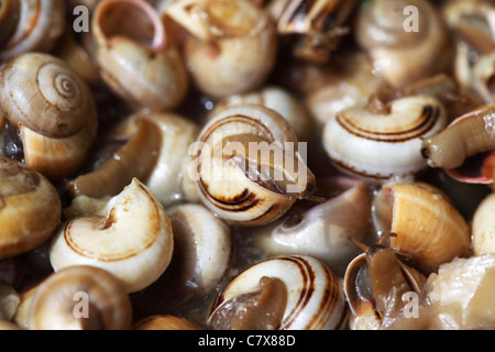 Escargots (Caracois) sont servis pour le déjeuner dans un restaurant portugais. Banque D'Images