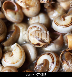 Escargots (Caracois) sont servis pour le déjeuner dans un restaurant portugais. Banque D'Images