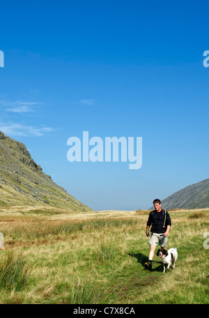 Un homme promenait son chien Épagneul dans la puce de Ornans dans le Lake District, Cumbria, Angleterre Banque D'Images