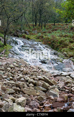 La partie inférieure de l'échelle d'étude cascade dans la lande dans le Lake District, Cumbria, Angleterre Banque D'Images