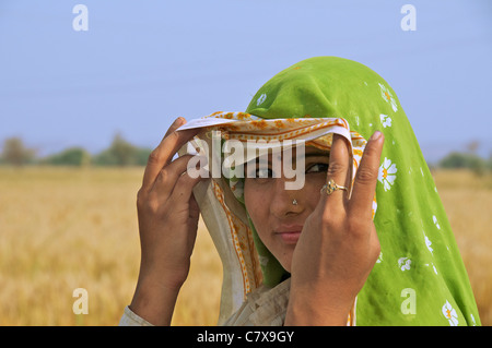 Portrait femme en sari vert travailleur agricole Rajasthan Inde Banque D'Images