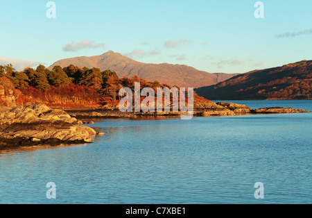 Rive nord du Loch Sunart, Ardnamurchan, péninsule Ardnamurchan, Écosse, Royaume-Uni Banque D'Images