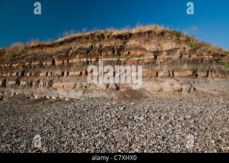 Vue d'un affleurement de schiste à Kimmeridge Bay, Dorset, UK Banque D'Images