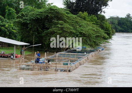 Rope & escrime sont ajoutés à de barils flottants avec filets utilisés dans l'élevage de poissons pour les protéger contre les dégâts causés par les inondations river Banque D'Images