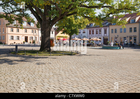 Am Markt, Werder Havel, Brandebourg, Allemagne Banque D'Images