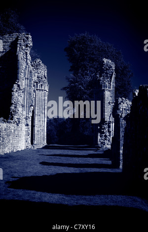 Ruines de l'abbaye de l'ombre. Banque D'Images