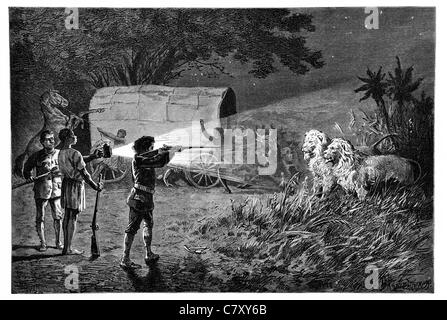 Tournage Grande chasse chasse chasse au lion en Afrique Cinq Grands tigres lions sous-continent indien arme Fusil de balle de fusil calibe Banque D'Images