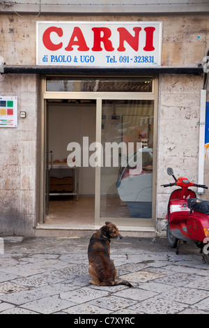 Chien en attente d'une boucherie à l'extérieur de l'alimentation près de Capo, du vieux marché à Palerme, Sicile, Sicile, Italie Banque D'Images