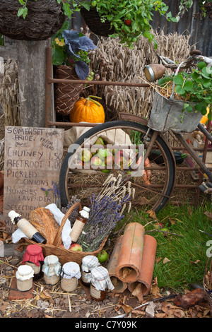 La fierté de Somerset, designer Mark Walker, Walker's Garden de retraites. Attribué Best in Show ; argent doré de Flore Banque D'Images