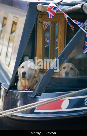 Chien sur un canal Barge à Canis lupus familiaris Banque D'Images