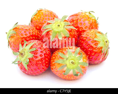 Fleur de fraisier Banque D'Images