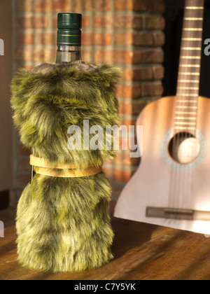 La vodka et la guitare Banque D'Images