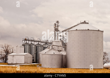 Silos à ferme contre ciel couvert Banque D'Images