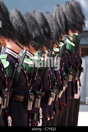 L'évolution de Sa Majesté le Roi garde royale au Palais Royal à Oslo Banque D'Images