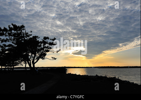 Coucher du soleil spectaculaire avec arbre en silhouette, voiliers au loin, ciel nuageux vu de Goat Island, Newport, Rhode Island, USA Banque D'Images