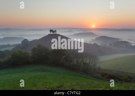 Colmer's Hill et Marshwood Vale au lever du soleil. Le Dorset. L'Angleterre. UK. Banque D'Images