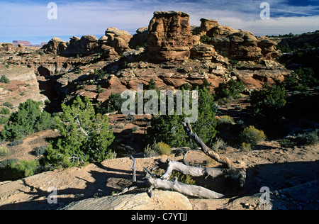 USA, Utah, Canyonlands National Park, des formations rocheuses des aiguilles Banque D'Images