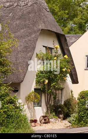 Cottage au toit de chaume, Wanborough, Swindon, Wiltshire, Royaume-Uni Banque D'Images