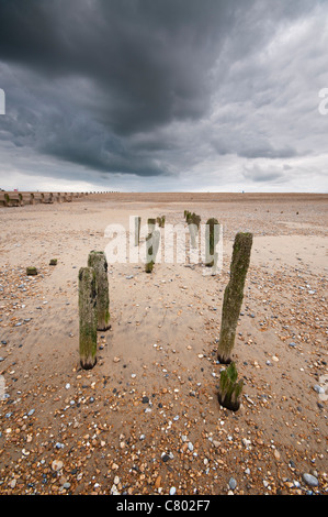 Vieille Épis, Hastings, East Sussex, UK Banque D'Images