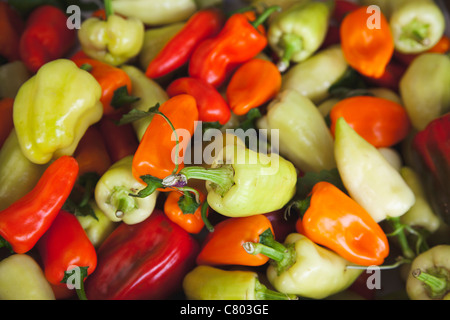 L'alimentation, produits frais, piments organiques sur l'affichage dans le Farmers Market. Banque D'Images