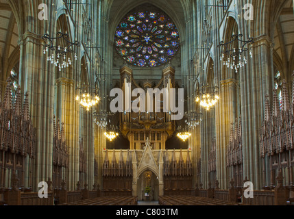 L'Angleterre, West Sussex, Shoreham-by-Sea, Lancing College Chapelle intérieur, l'un des plus grands vitraux rosaces au Royaume-Uni. Banque D'Images