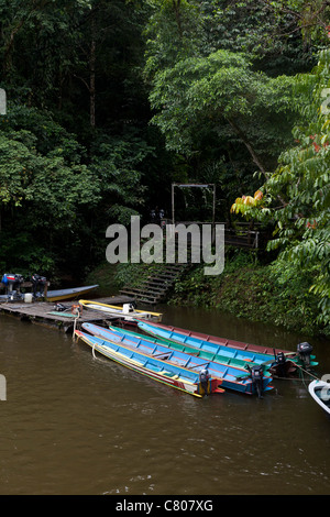 Canoës attend pour les touristes à des grottes, Mulu National Park, Sarawak, Bornéo Malaisien Banque D'Images