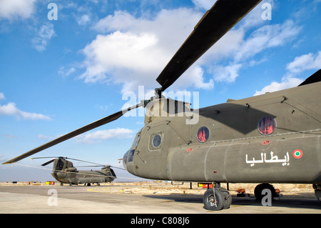 L'armée italienne des hélicoptères Chinook CH-47C à base d'Herat, Commandement régional Ouest, l'Afghanistan. Banque D'Images