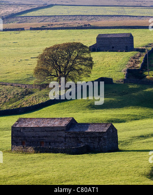 Granges dans le paysage et la campagne de Muker, Swaledale dans le North Yorkshire Dales National Park, Richmondshire, UK Banque D'Images