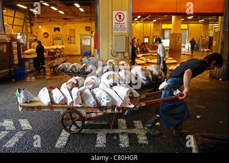 Japon, Tokyo, thonidés congelés dans le marché aux poissons de Tsukiji Banque D'Images