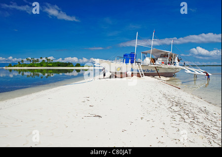 L'île de Bohol, Philippines, Balicasag Island Reef Banque D'Images