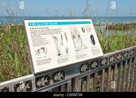 Alabama, Dauphin Island, l'Estuarium au Dauphin Island Sea Lab Banque D'Images