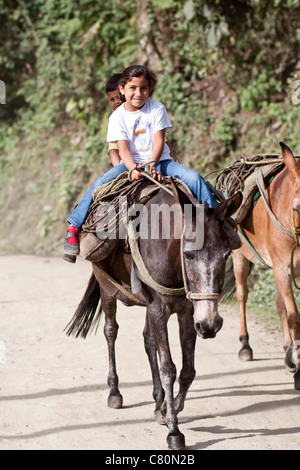 Enfants sourire équitation un cheval. Ibagué, Tolima, Colombie, Amérique du Sud Banque D'Images