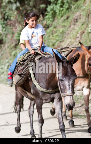 Enfants sourire équitation un cheval. Ibagué, Tolima, Colombie, Amérique du Sud Banque D'Images