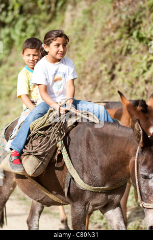 Enfants sourire équitation un cheval. Ibagué, Tolima, Colombie, Amérique du Sud Banque D'Images