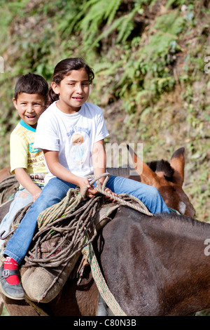 Enfants sourire équitation un cheval. Ibagué, Tolima, Colombie, Amérique du Sud Banque D'Images