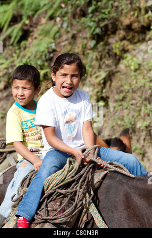 Enfants sourire équitation un cheval. Ibagué, Tolima, Colombie, Amérique du Sud Banque D'Images