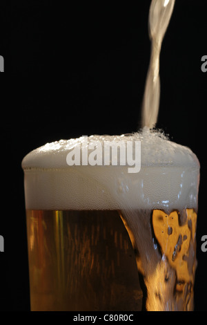 Chef de la bière Close up of beer est versé dans le verre de bière sur la tête bon fond noir Banque D'Images