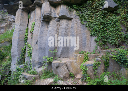 Cardan de colonne coulée de près de Sant Joan les Fonts dans la zone volcanique de la Garrotxa, en Catalogne, Espagne Banque D'Images