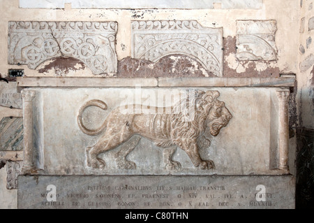 Lion sarcophage, portique de Santa Maria in Trastevere, Rome, Italie Banque D'Images