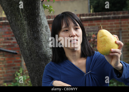 Fille avec une poire choisis dans un arbre au-dessus d'elle Banque D'Images