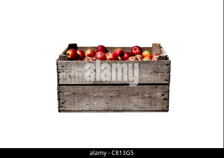 Boisseau fort avec des pommes rouges. Méthode de stockage des fruits traditionnels. Banque D'Images