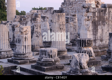 Didim, Didymes, Didymaion, temple d'Apollon, oracle, important, au sud-ouest de la côte sud de la mer Egée, sur la côte ouest de la Turquie, la Turquie, l'Europe. Banque D'Images