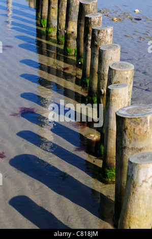 Motifs et ombres faits à partir de groynes de défense de la mer en bois sur la plage de sable de West Wittering, Nr. Chichester, West Sussex, Angleterre, Royaume-Uni Banque D'Images