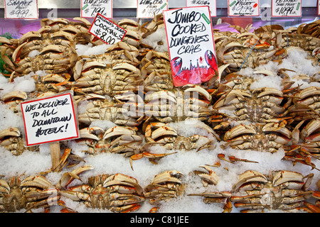 Le crabe dormeur. Pike Place Market. Seattle. USA Banque D'Images